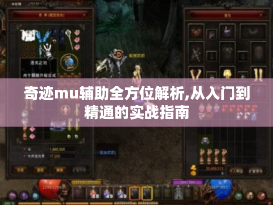 奇迹mu辅助全方位解析,从入门到精通的实战指南 奇迹mu辅助全方位解析,从入门到精通的实战指南