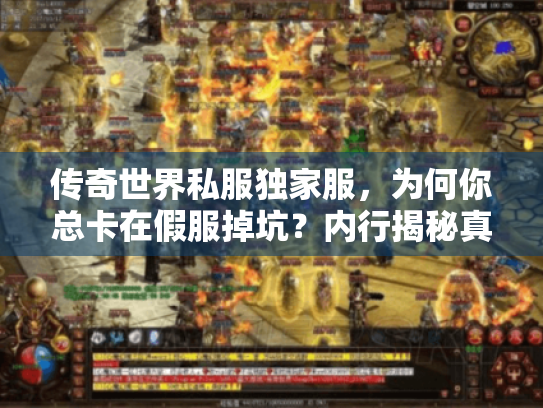 传奇世界私服独家服,为何你总卡在假服掉坑?内行揭秘真相! 传奇世界私服独家服,为何你总卡在假服掉坑?内行揭秘真相!