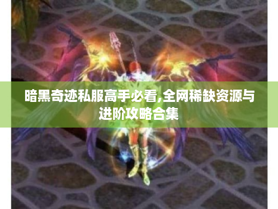 暗黑奇迹私服高手必看,全网稀缺资源与进阶攻略合集