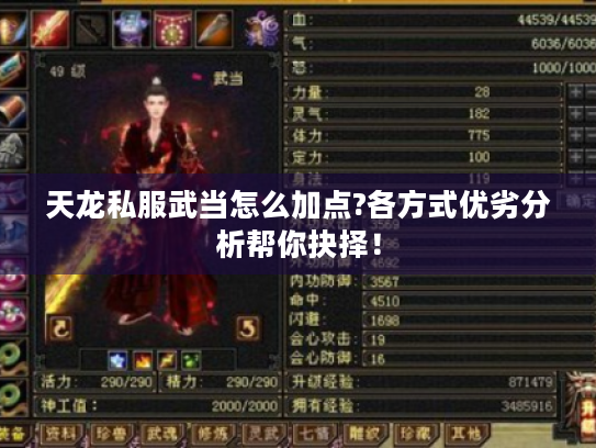天龙私服武当怎么加点?各方式优劣分析帮你抉择! 天龙私服武当怎么加点?各方式优劣分析帮你抉择!