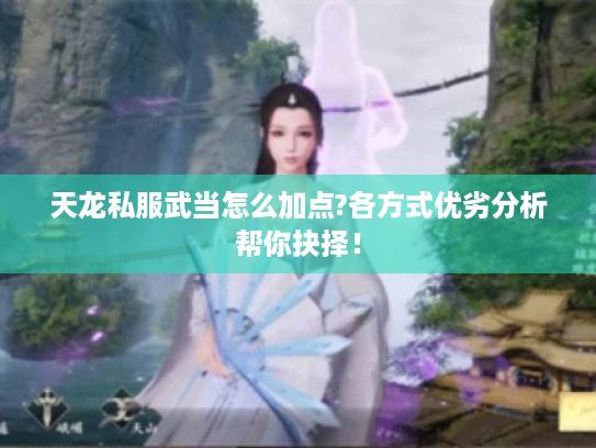 天龙私服武当怎么加点?各方式优劣分析帮你抉择! 天龙私服武当怎么加点?各方式优劣分析帮你抉择!