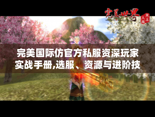 完美国际仿官方私服资深玩家实战手册,选服、资源与进阶技巧 完美国际仿官方私服资深玩家实战手册,选服、资源与进阶技巧