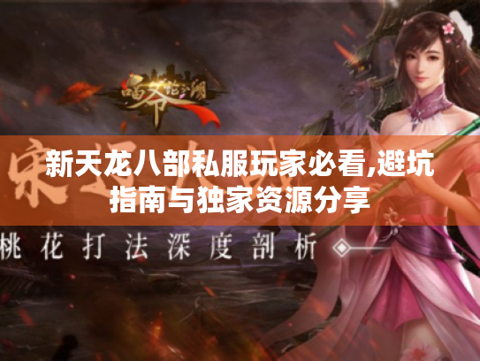 新天龙八部私服玩家必看,避坑指南与独家资源分享 新天龙八部私服玩家必看,避坑指南与独家资源分享