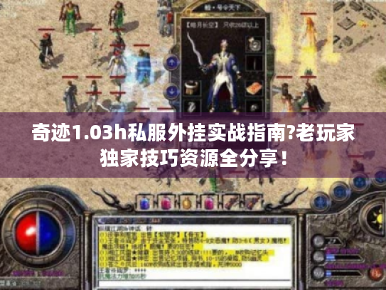 奇迹1.03h私服外挂实战指南?老玩家独家技巧资源全分享! 奇迹1.03h私服外挂实战指南?老玩家独家技巧资源全分享!