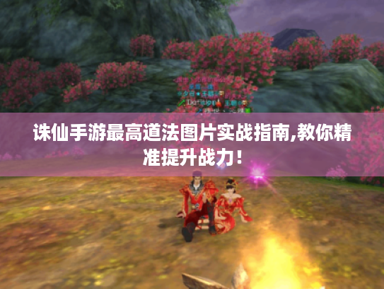 诛仙手游最高道法图片实战指南,教你精准提升战力! 诛仙手游最高道法图片实战指南,教你精准提升战力!
