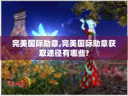 完美国际勋章,完美国际勋章获取途径有哪些? 完美国际勋章,完美国际勋章获取途径有哪些?