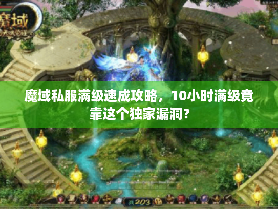 魔域私服满级速成攻略,10小时满级竟靠这个独家漏洞? 魔域私服满级速成攻略,10小时满级竟靠这个独家漏洞?