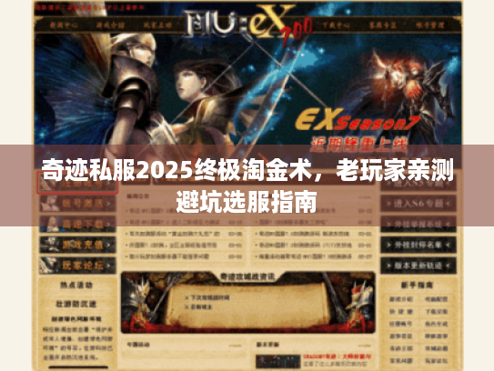 奇迹私服2025终极淘金术，老玩家亲测避坑选服指南