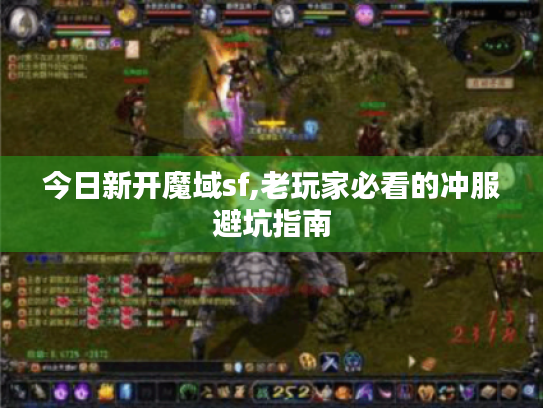 今日新开魔域sf,老玩家必看的冲服避坑指南 今日新开魔域sf,老玩家必看的冲服避坑指南