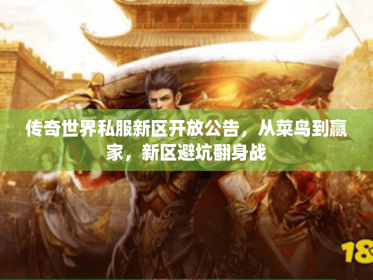 传奇世界私服新区开放公告，从菜鸟到赢家，新区避坑翻身战