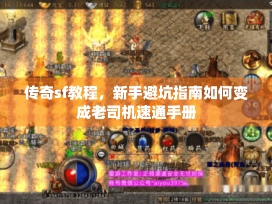 传奇sf教程，新手避坑指南如何变成老司机速通手册