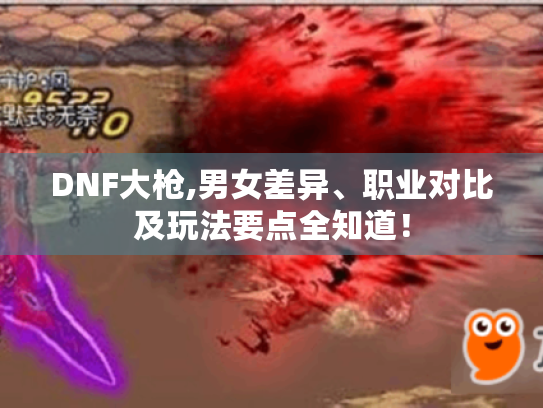 DNF大枪,男女差异、职业对比及玩法要点全知道! DNF大枪,男女差异、职业对比及玩法要点全知道!