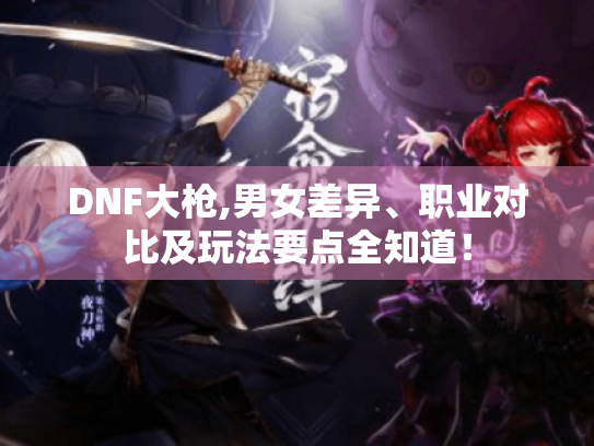 DNF大枪,男女差异、职业对比及玩法要点全知道! DNF大枪,男女差异、职业对比及玩法要点全知道!