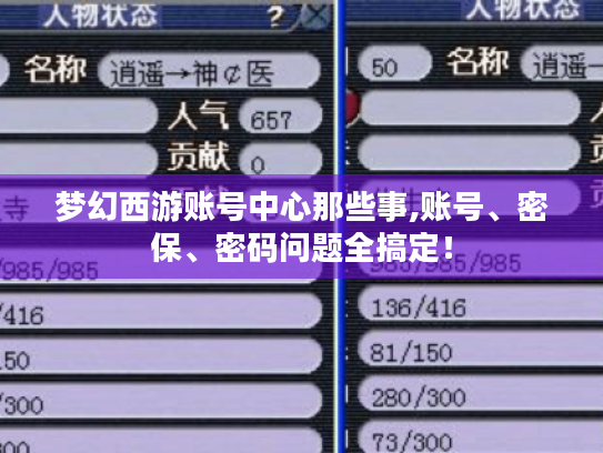 梦幻西游账号中心那些事,账号、密保、密码问题全搞定! 梦幻西游账号中心那些事,账号、密保、密码问题全搞定!