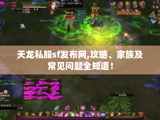 天龙私服sf发布网,攻略、家族及常见问题全知道! 天龙私服sf发布网,攻略、家族及常见问题全知道!