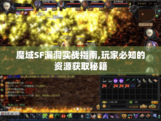 魔域SF漏洞实战指南,玩家必知的资源获取秘籍 魔域SF漏洞实战指南,玩家必知的资源获取秘籍