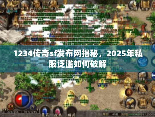 1234传奇sf发布网揭秘，2025年私服泛滥如何破解