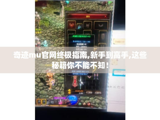 奇迹mu官网终极指南,新手到高手,这些秘籍你不能不知！