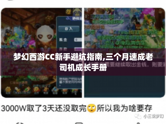 梦幻西游CC新手避坑指南,三个月速成老司机成长手册