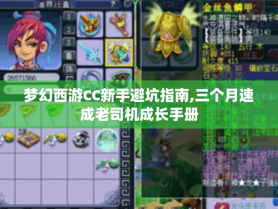 梦幻西游CC新手避坑指南,三个月速成老司机成长手册