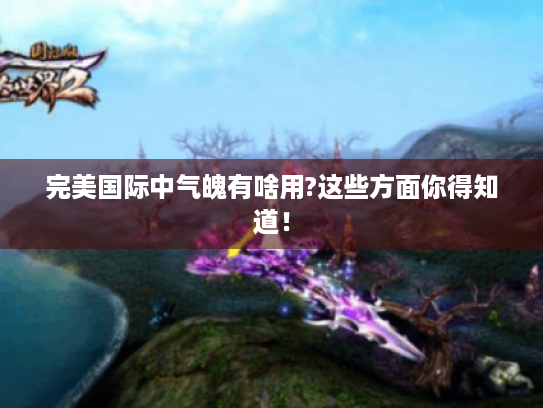 完美国际中气魄有啥用?这些方面你得知道! 完美国际中气魄有啥用?这些方面你得知道!