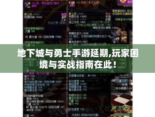 地下城与勇士手游延期,玩家困境与实战指南在此! 地下城与勇士手游延期,玩家困境与实战指南在此!