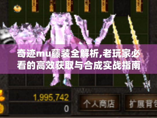 奇迹mu藤装全解析,老玩家必看的高效获取与合成实战指南 奇迹mu藤装全解析,老玩家必看的高效获取与合成实战指南