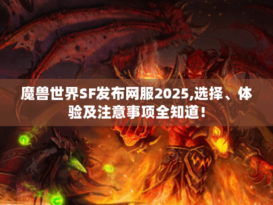 魔兽世界SF发布网服2025,选择、体验及注意事项全知道! 魔兽世界SF发布网服2025,选择、体验及注意事项全知道!
