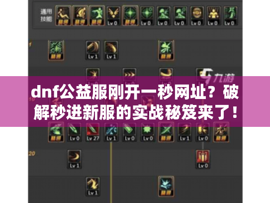 dnf公益服刚开一秒网址？破解秒进新服的实战秘笈来了！