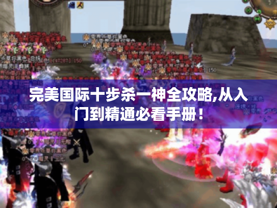 完美国际十步杀一神全攻略,从入门到精通必看手册! 完美国际十步杀一神全攻略,从入门到精通必看手册!
