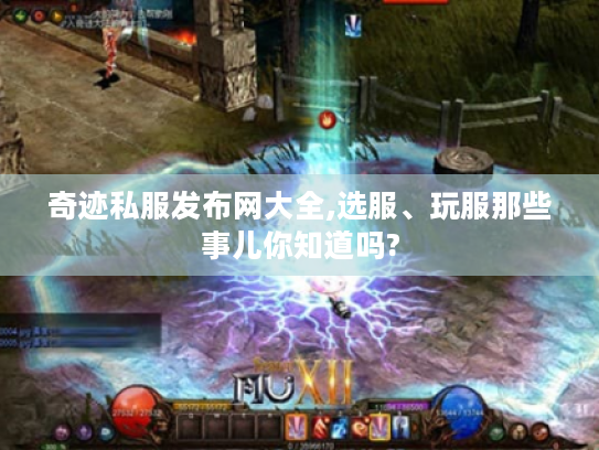 奇迹私服发布网大全,选服、玩服那些事儿你知道吗? 奇迹私服发布网大全,选服、玩服那些事儿你知道吗?