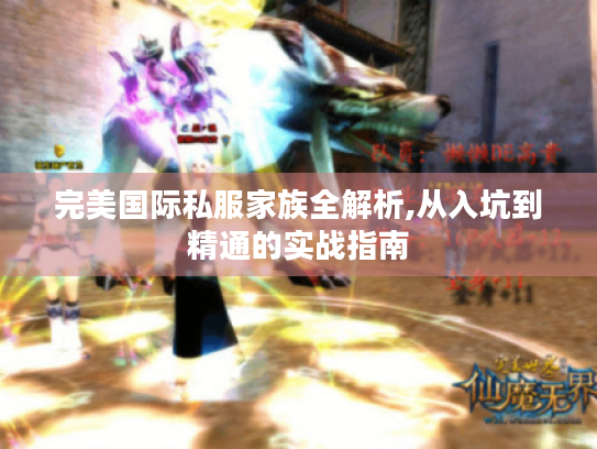 完美国际私服家族全解析,从入坑到精通的实战指南 完美国际私服家族全解析,从入坑到精通的实战指南