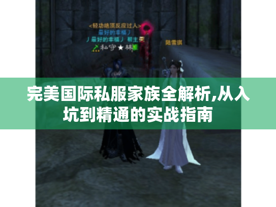 完美国际私服家族全解析,从入坑到精通的实战指南 完美国际私服家族全解析,从入坑到精通的实战指南