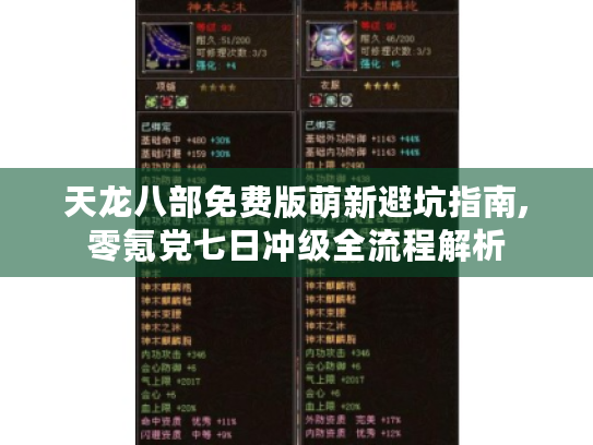 天龙八部免费版萌新避坑指南,零氪党七日冲级全流程解析