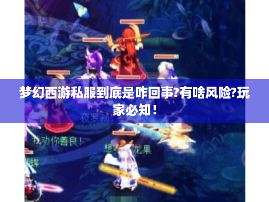 梦幻西游私服到底是咋回事?有啥风险?玩家必知! 梦幻西游私服到底是咋回事?有啥风险?玩家必知!