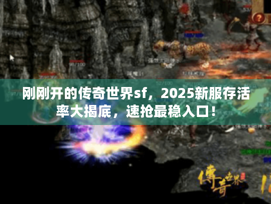 刚刚开的传奇世界sf,2025新服存活率大揭底,速抢最稳入口! 刚刚开的传奇世界sf,2025新服存活率大揭底,速抢最稳入口!