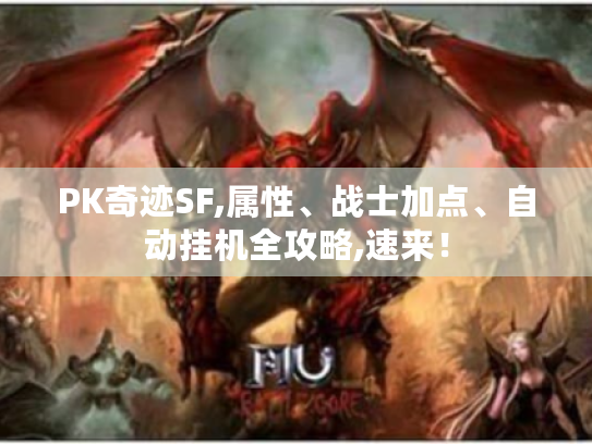 PK奇迹SF,属性、战士加点、自动挂机全攻略,速来！