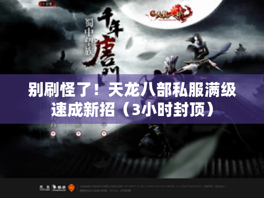 别刷怪了!天龙八部私服满级速成新招(3小时封顶) 别刷怪了!天龙八部私服满级速成新招(3小时封顶)