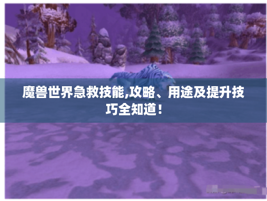 魔兽世界急救技能,攻略、用途及提升技巧全知道! 魔兽世界急救技能,攻略、用途及提升技巧全知道!