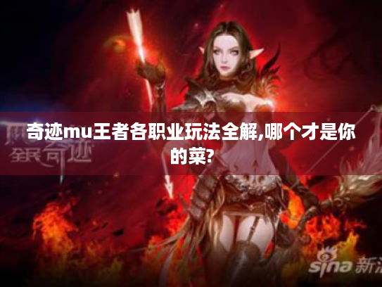 奇迹mu王者各职业玩法全解,哪个才是你的菜?