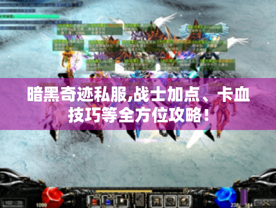 暗黑奇迹私服,战士加点、卡血技巧等全方位攻略！