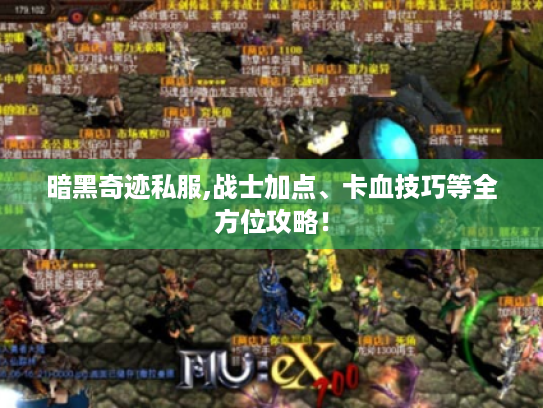 暗黑奇迹私服,战士加点、卡血技巧等全方位攻略！