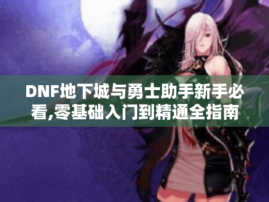 DNF地下城与勇士助手新手必看,零基础入门到精通全指南 DNF地下城与勇士助手新手必看,零基础入门到精通全指南