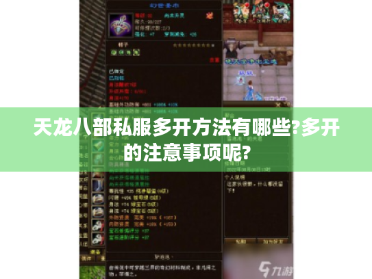 天龙八部私服多开方法有哪些?多开的注意事项呢? 天龙八部私服多开方法有哪些?多开的注意事项呢?