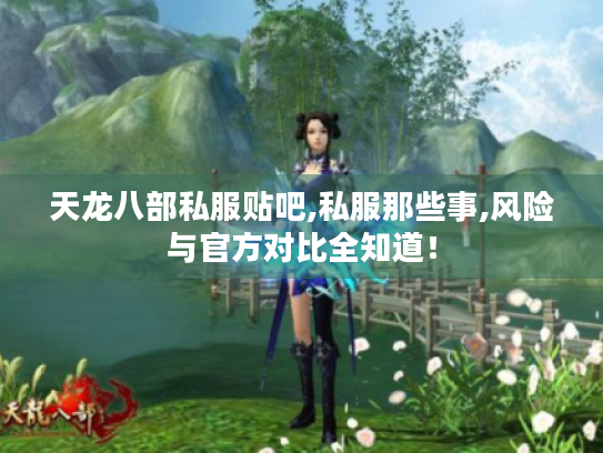 天龙八部私服贴吧,私服那些事,风险与官方对比全知道! 天龙八部私服贴吧,私服那些事,风险与官方对比全知道!