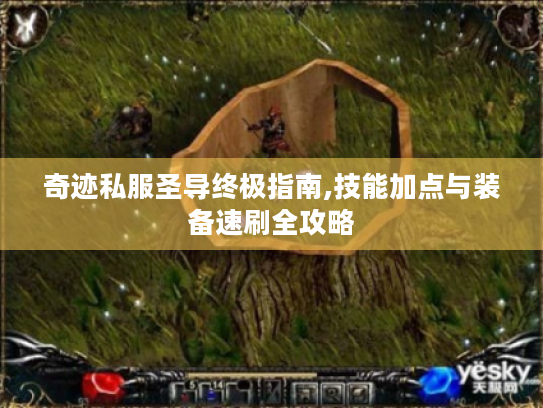 奇迹私服圣导终极指南,技能加点与装备速刷全攻略 奇迹私服圣导终极指南,技能加点与装备速刷全攻略