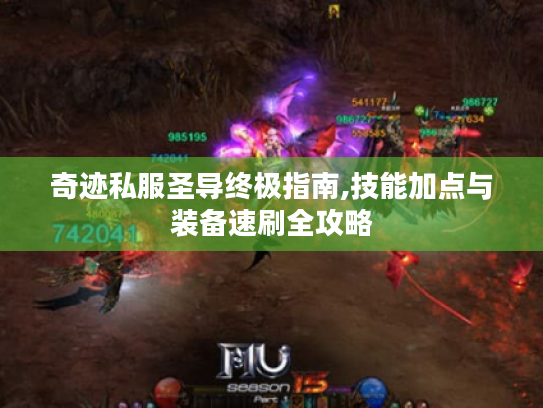 奇迹私服圣导终极指南,技能加点与装备速刷全攻略 奇迹私服圣导终极指南,技能加点与装备速刷全攻略