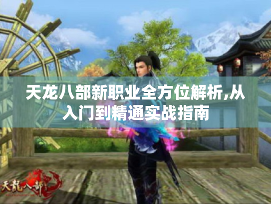 天龙八部新职业全方位解析,从入门到精通实战指南 天龙八部新职业全方位解析,从入门到精通实战指南