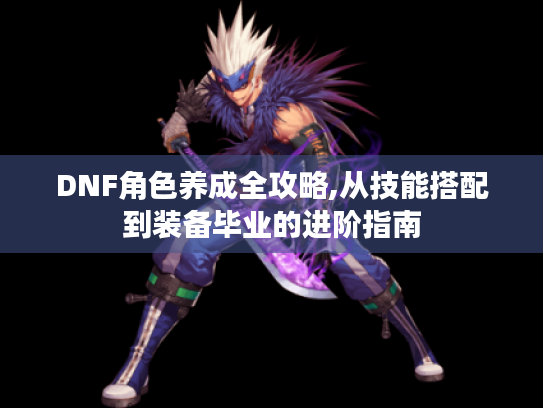 DNF角色养成全攻略,从技能搭配到装备毕业的进阶指南 DNF角色养成全攻略,从技能搭配到装备毕业的进阶指南