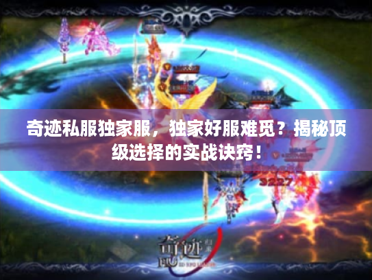 奇迹私服独家服，独家好服难觅？揭秘顶级选择的实战诀窍！